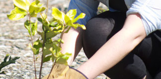 Southern Cross Resorts takes hands-on approach to sustainability