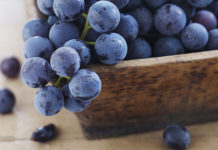 USANA Health Sciences goes nuts over nutrition bar