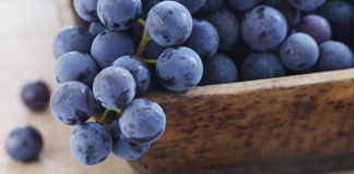 USANA Health Sciences introduces groundbreaking supplement