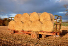 NRMA 2020 vision plan sets out to change lives.