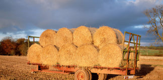 NRMA 2020 vision plan sets out to change lives.