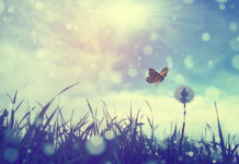 Chemical-free laundry concentrate puts Tri-nature ahead of the pack