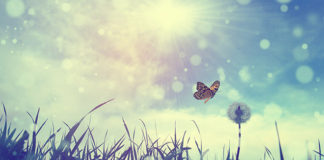 Chemical-free laundry concentrate puts Tri-nature ahead of the pack