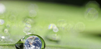 Veolia leading the way to a Sustainable Future through Utilities Innovation.