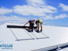 Apricus creates dual Solar Domestic Hot Water & Pool Heating System.