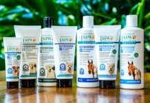 Dry Skin and irritation issues solved by Blackmores’ Pawderm Technology.