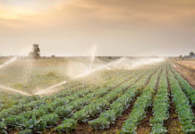 The Department of Water aims for Sustainability.