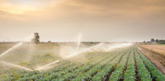 The Department of Water aims for Sustainability.