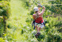 Ecoline’s Innovative Adventure