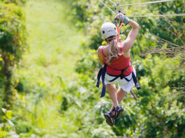 Ecoline’s Innovative Adventure