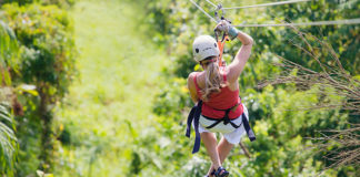 Ecoline’s Innovative Adventure