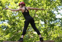 Ecoline innovation in the treetops