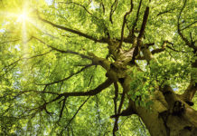 GJK promotes the use of sustainable chemicals