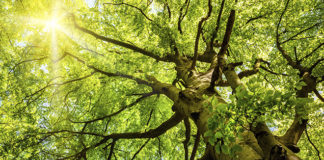 GJK promotes the use of sustainable chemicals