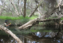 Department of Water recognised for Urban Waterways Renewal Project