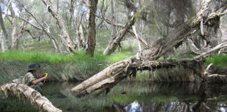 Department of Water recognised for Urban Waterways Renewal Project